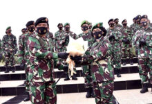 Photo of Panglima TNI Terima Kenaikan  Pangkat 91 Perwira Tinggi TNI