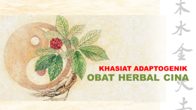 Photo of Sistem Adaptogen, Rahasia Obat Cina yang Menyembuhkan Berbagai Penyakit
