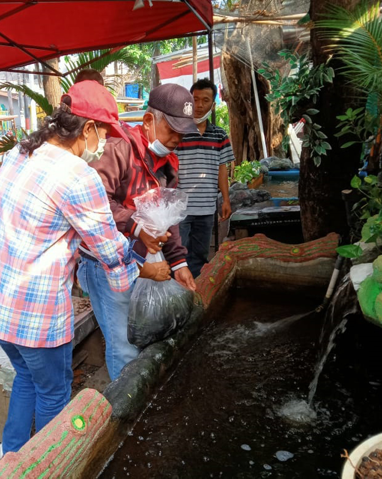 Pandapotan Sinaga