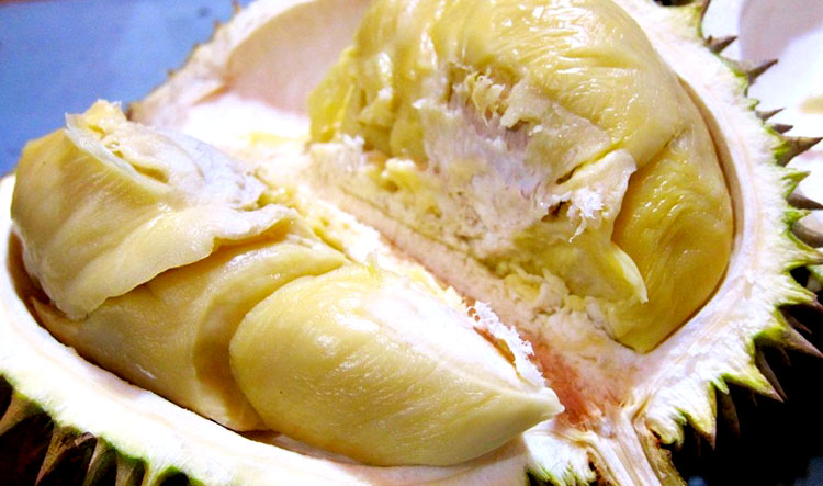 duren medan