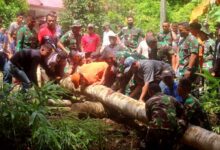 Photo of Prajurit Marinir TNI AL Bangun Jembatan Alternatif di Lampung