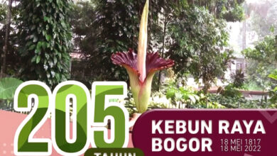 Photo of Kebun Raya Bogor sebagai Platform Riset Ilmu Botani dalam Skala Global