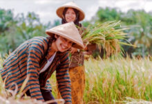 Photo of Orang Tangguh yang Tetap di Kampung
