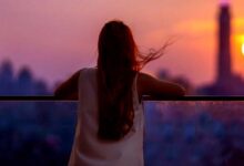 Photo of Sepi