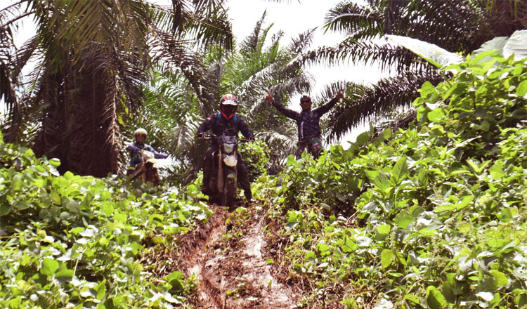 Peserta Trail Adventure saat on track di tengah perkebunan sawit pada Minggu, 24 September 2023 - (Sumber: Mukhtar Habib)