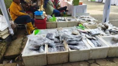 Photo of Gerakan Pangan Dan Sembako Murah (GPM) Pemkot Cimahi Hadirkan Produk Olahan Ikan