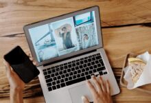 Photo of Integrasi Call Center & WhatsApp API untuk Layanan Responsif dan Efisien