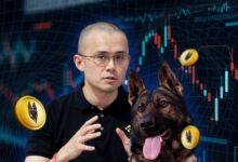 Photo of Mengenal Coin CZ’s Dog (BROCCOLI), Edukasi Aset Kripto Berbalut Tren Memecoin