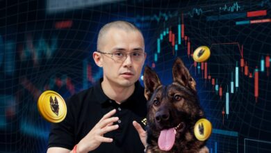 Photo of Mengenal Coin CZ’s Dog (BROCCOLI), Edukasi Aset Kripto Berbalut Tren Memecoin