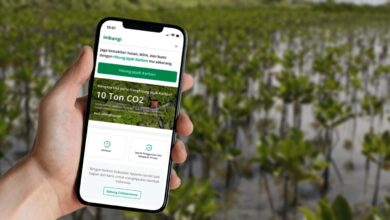 Photo of LindungiHutan Rilis Tampilan Baru Web Mobile: Menjawab Tren Digitalisasi Keberlanjutan