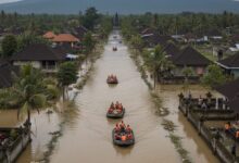 Photo of Banjir Terparah di Bali dalam Satu Dekade Momentum Penting untuk Penghijauan dan Pelestarian DAS