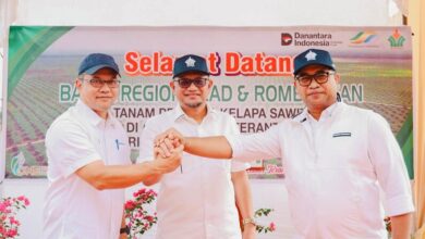 Photo of Holding Perkebunan Nusantara Dukung Keberlanjutan, PTPN IV Regional III Remajakan 949,6 Hektare Sawit Renta