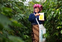 Photo of Dari Kesetaraan Gender hingga Pelacakan Karbon: KOLTIVA Bersama Unilever, FCDO, dan EY Dukung Sugata Transformasi Rantai Pasok Kakao