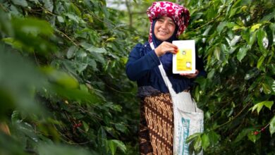 Photo of Dari Kesetaraan Gender hingga Pelacakan Karbon: KOLTIVA Bersama Unilever, FCDO, dan EY Dukung Sugata Transformasi Rantai Pasok Kakao