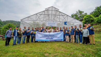 Photo of Panen Perdana Greenhouse Hidroponik, Krakatau Steel Perkuat Pendidikan Pertanian Modern dan Ketahanan Pangan Pesantren
