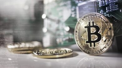 Photo of Bitcoin Tetap Menjadi Pilihan Pembelian Pertama bagi Investor Kripto Pemula di Indonesia