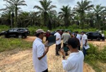 Photo of Hilirisasi Pangan Nasional, Holding Perkebunan Nusantara Melalui PalmCo Siapkan Lahan Peternakan Ayam Terintegrasi