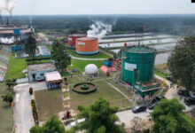 Photo of ROA PalmCo Tembus 7,9 Persen, Sinyal Penguatan Kinerja Aset Holding Perkebunan Nusantara