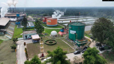 Photo of ROA PalmCo Tembus 7,9 Persen, Sinyal Penguatan Kinerja Aset Holding Perkebunan Nusantara